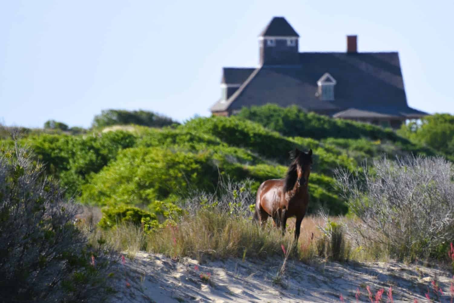 Where to Go on an Epic North Carolina Road Trip • Traveling with Purpose